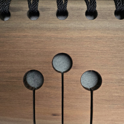 WHAKAKOTAHI - River Totara