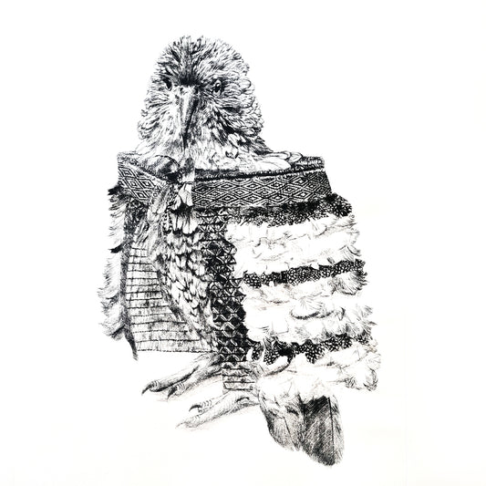 KEA IN A KĀKAHU - Ltd Edition Dry Point Etching Print